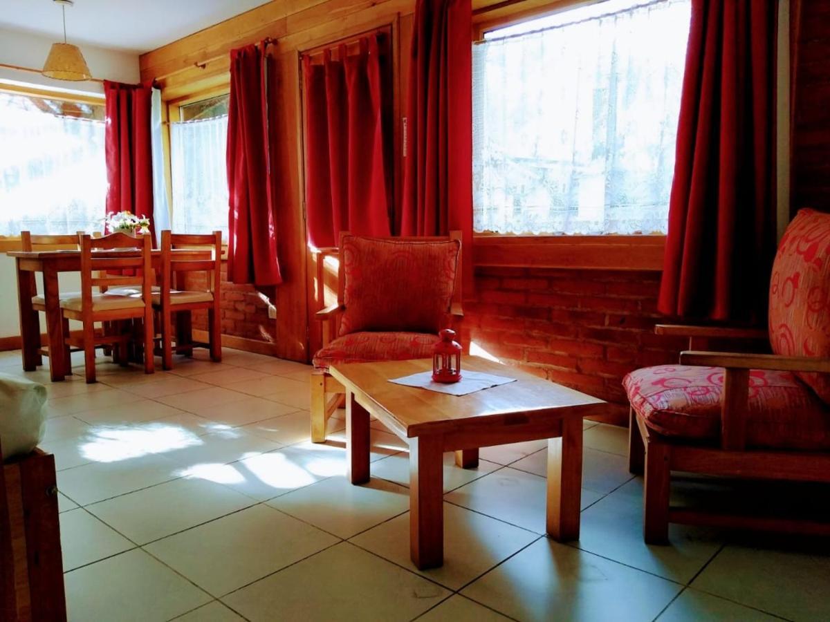 Apart Hotel Del Pellin サンマルティン エクステリア 写真